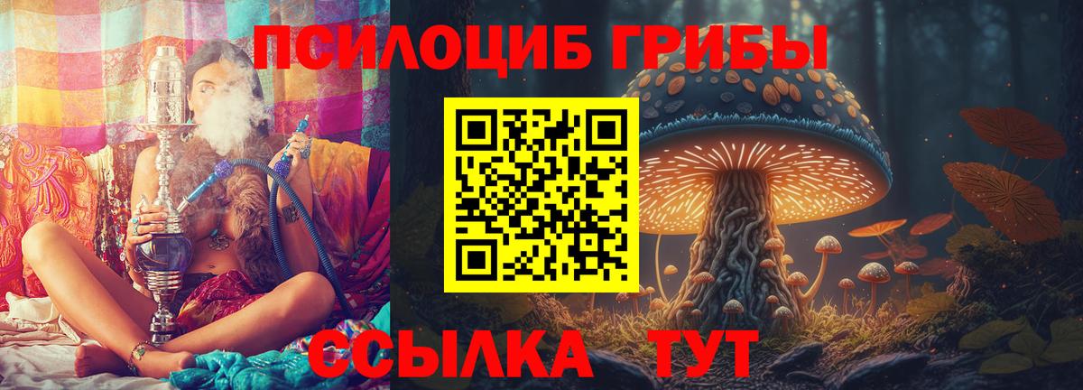 Галлюциногенные грибы Cubensis Сальск